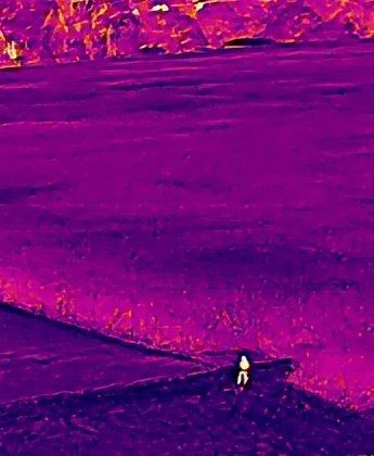 Personen- und Tiersuche